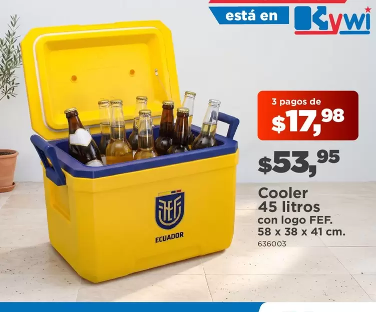 Cooler 45 litros con logo FEF. 58 x 38 x 41 cm. 636003