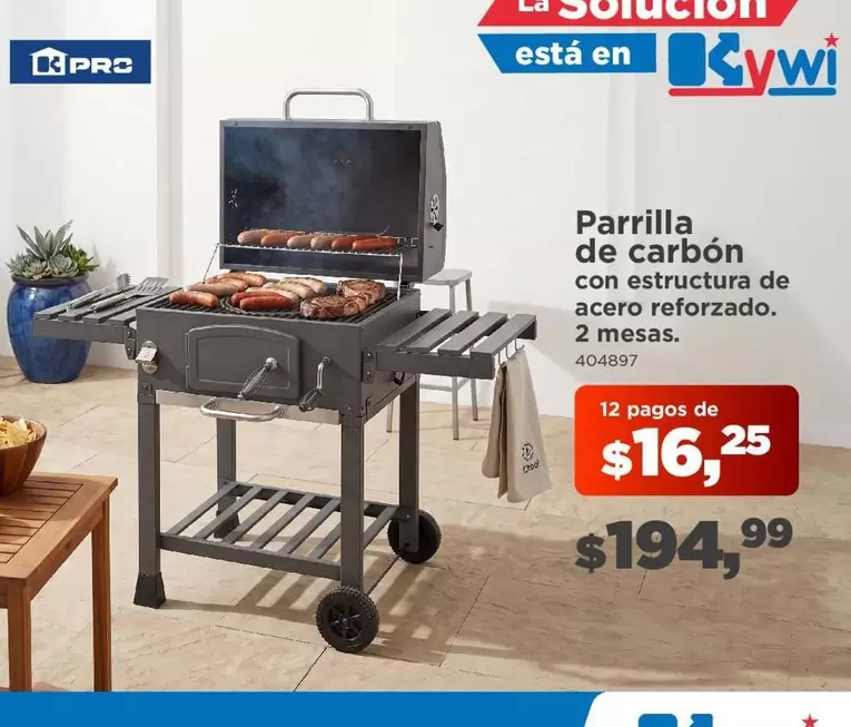 Pro - Parrilla de carb
uevo00f3n con estructura de acero reforzado. 2 mesas.
