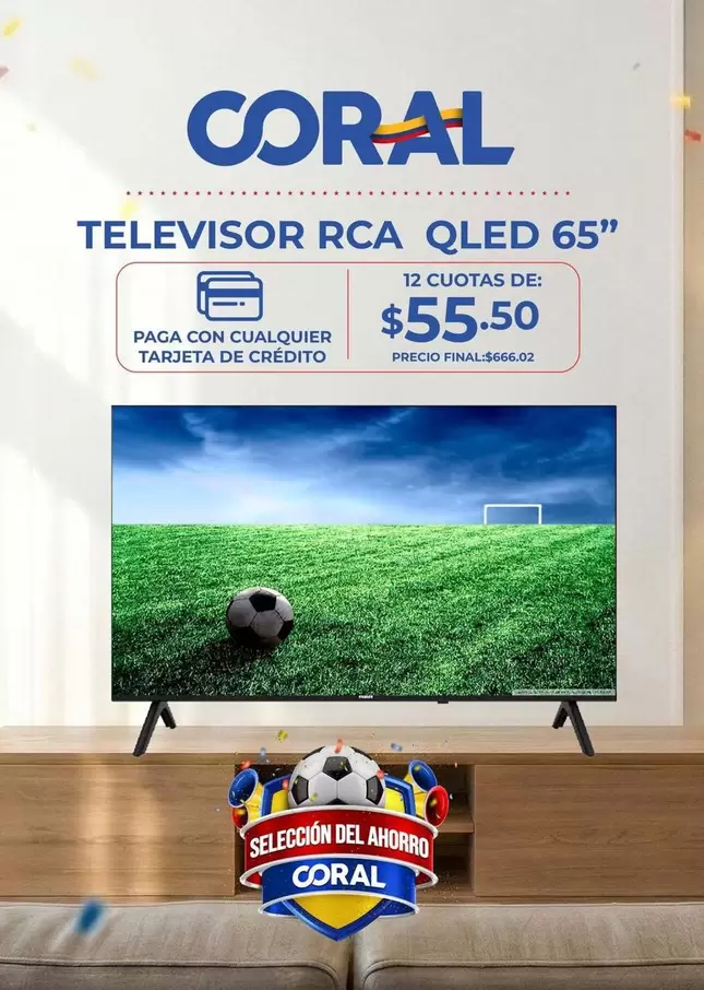 TELEVISOR QLED 65"