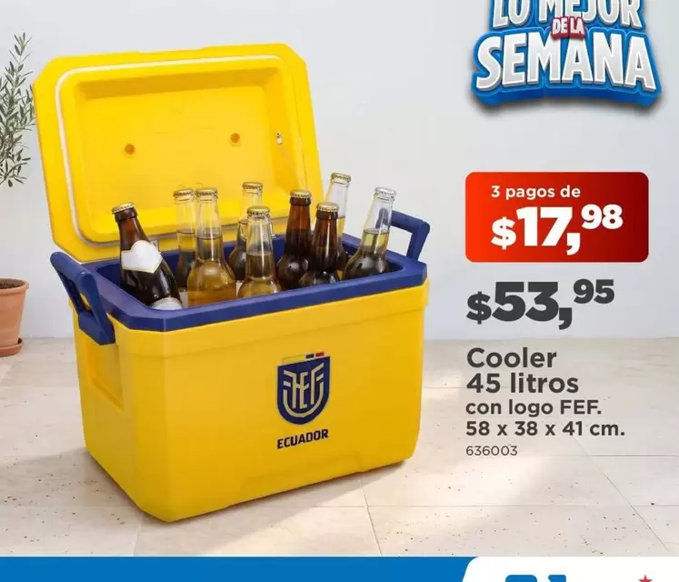 Cooler 45 litros con logo FEF, 58 x 38 x 41 CM. 636003