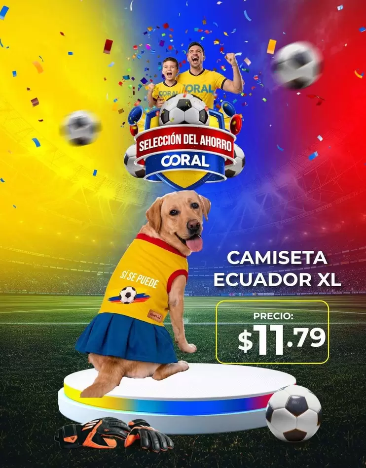 CAMISETA ECUADOR XL