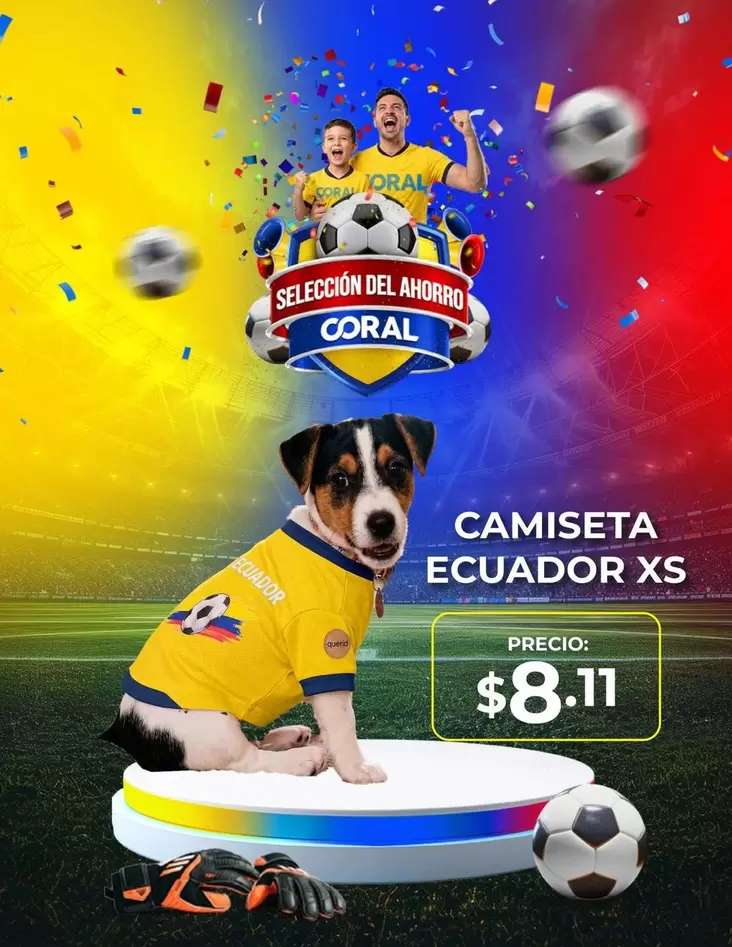 CAMISETA ECUADOR XS