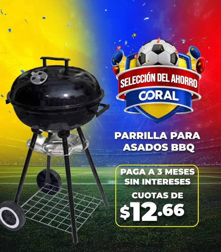 PARRILLA PARA ASADOS BBQ