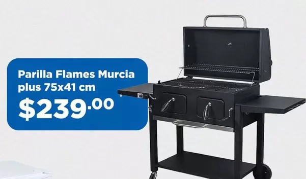 Parilla Flames Murcia plus