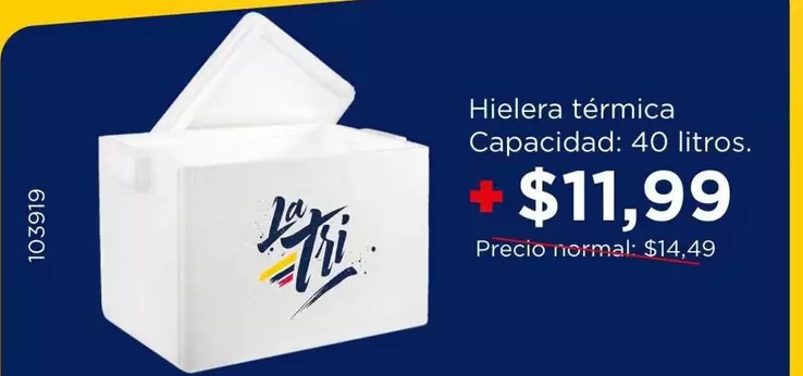 Hielera térmica