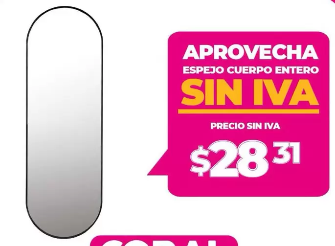 Espejo Cuerpo Entero
