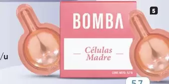 Células Madre