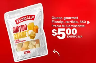 Queso gourmet surtido