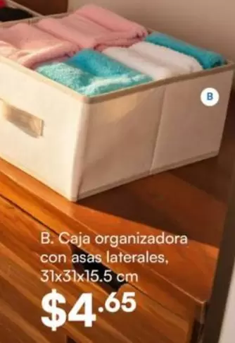 Caja organizadora con asas laterales
