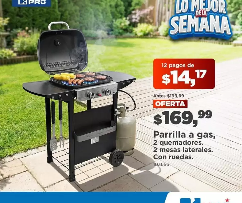Pro - Parrilla a gas