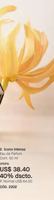 2. Icono Intense Eau de Parfum