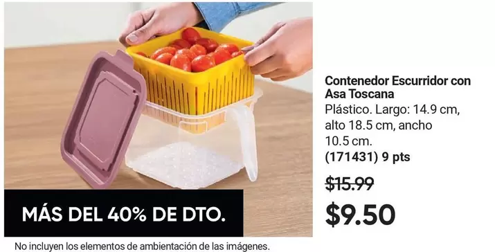 Elementos - Contenedor Escurridor (171431)