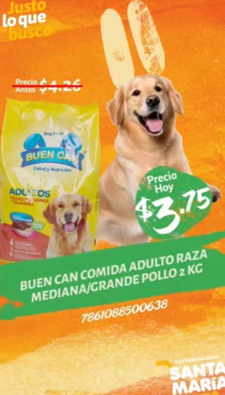 María - COMIDA ADULTO RAZA MEDIANA/GRANDE POLLO
