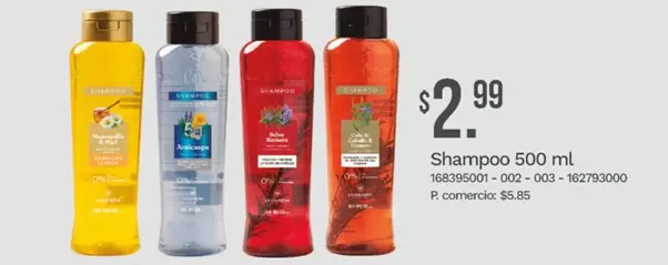 Shampoo 500 ml