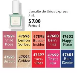 Esmalte de Uñas Express 47594 Wild Rose