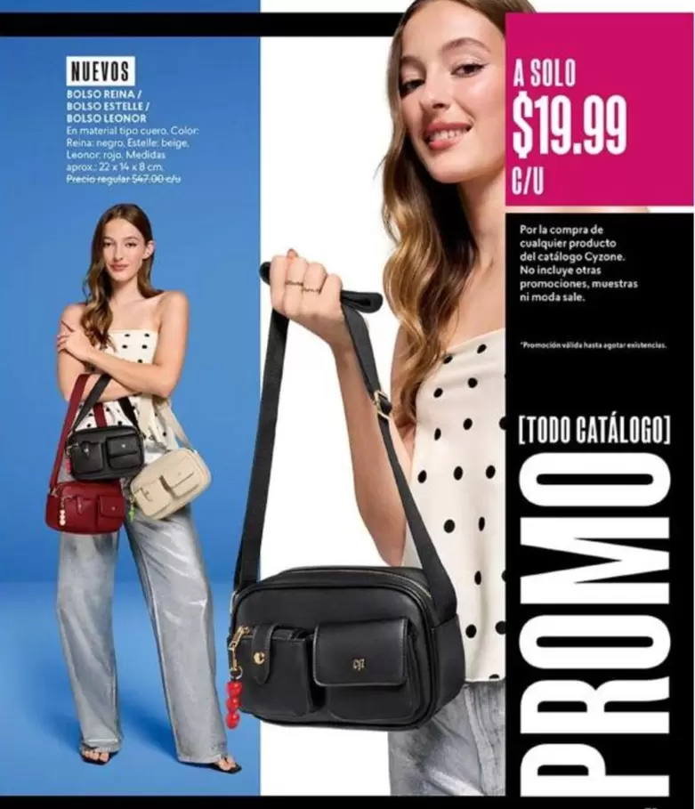 Negro - BOLSO REINAL / BOLSO LEONELA