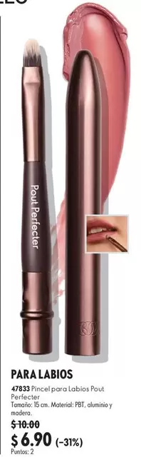47833: Pincel para Labios Pro Perfecter