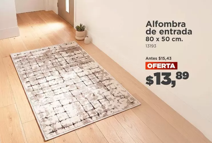 Alfombra de entrada 13193