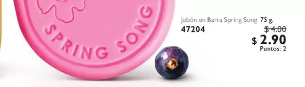 Jabón en Barra Spring Song 47204