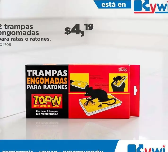 Trampas Engomadas para Ratones