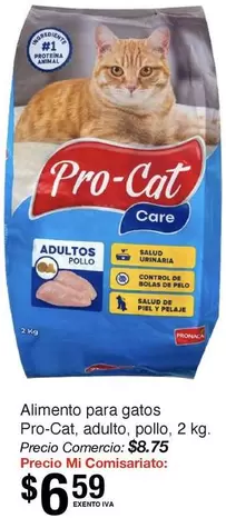 Animal - Alimento para gatos
