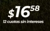 semillas para césped