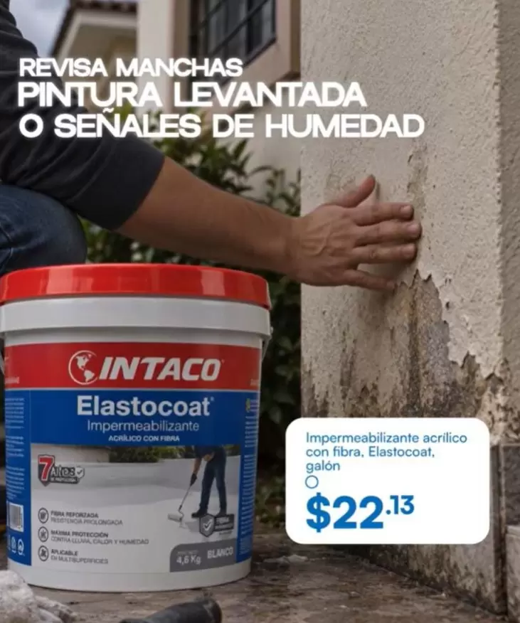 Elastocoat Impermeabilizante