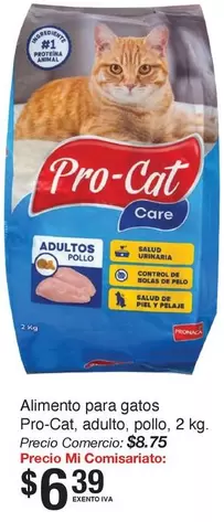 Animal - Alimento para gatos
