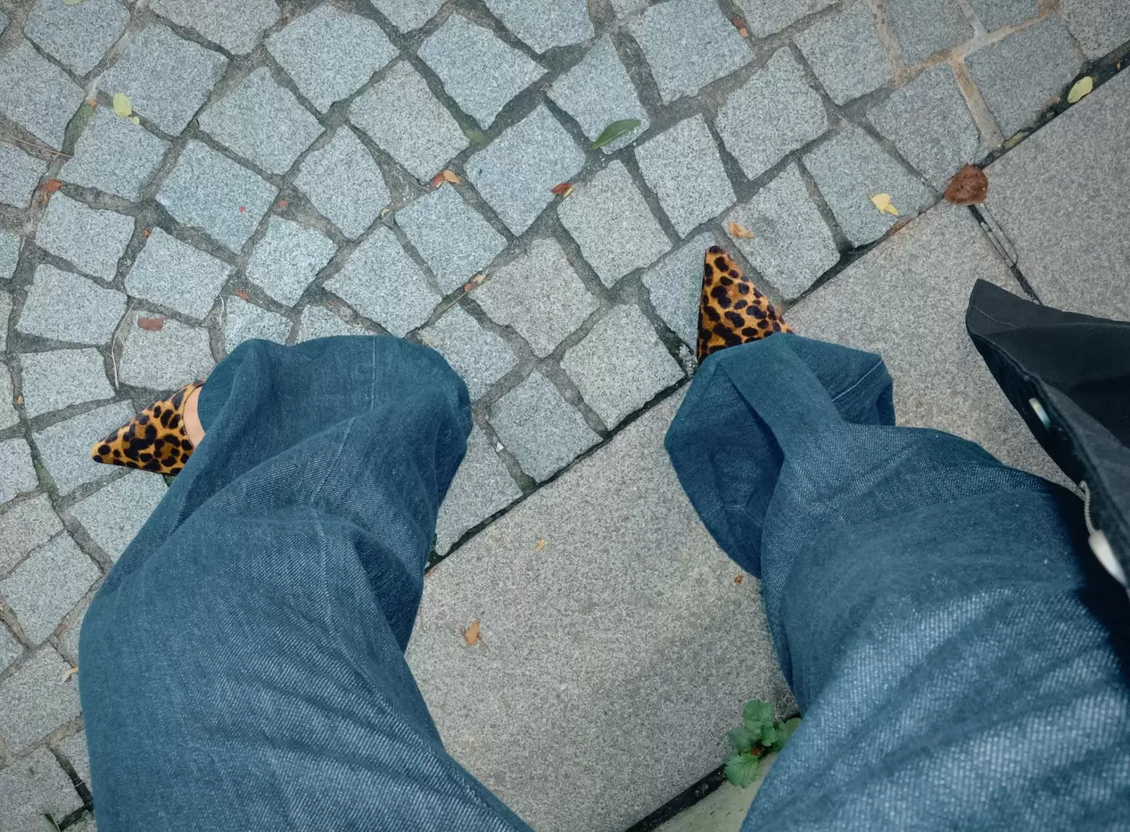 ZAPATO PUNTA ESTAMAPADO ANIMAL