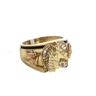 ANILLO CABALLOS 2 COLORES 18K