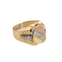 ANILLO PLACA 3 TONOS 18K