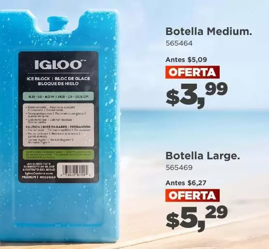 Botella Medium. 565464