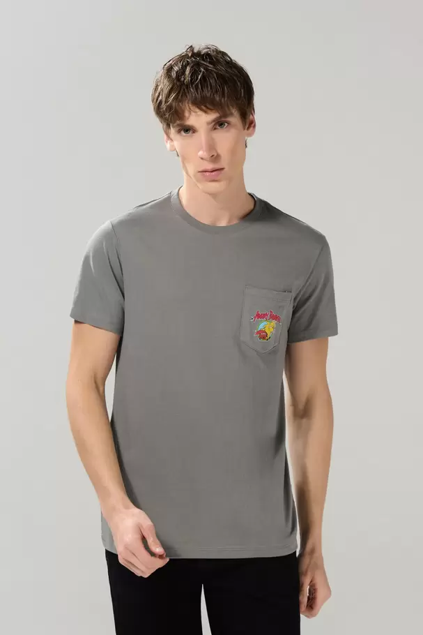 Camiseta gris cuello redondo de Castores Cascarrabias