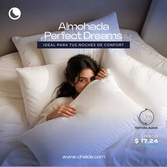 Catálogo Chaide | Almohada perfect dreams | 2026-07-07T00:00:00.000Z - 2026-07-31T00:00:00.000Z