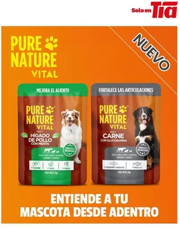 Catálogo Tia en Ballenita | Catálogo Tia | 2026-08-02T00:00:00.000Z - 2026-08-16T00:00:00.000Z