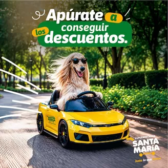 Catálogo Santa Maria | Gangas y ofertas actuales | 2026-09-02T00:00:00.000Z - 2026-09-16T00:00:00.000Z