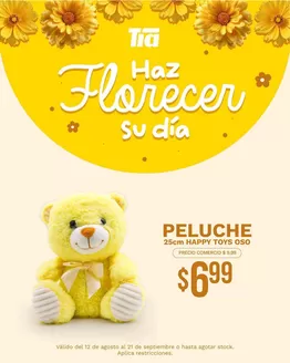 Catálogo Tia en Playas | Catálogo Tia | 2026-08-12T00:00:00.000Z - 2026-09-21T00:00:00.000Z