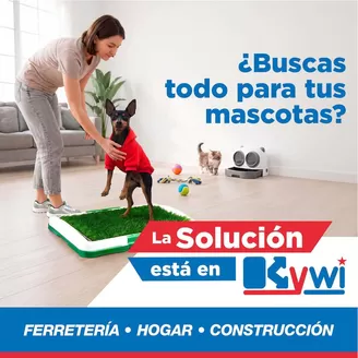 Catálogo Mega Kywi en Tarifa | Ofertas especiales para ti | 2026-10-19T00:00:00.000Z - 2026-11-02T00:00:00.000Z