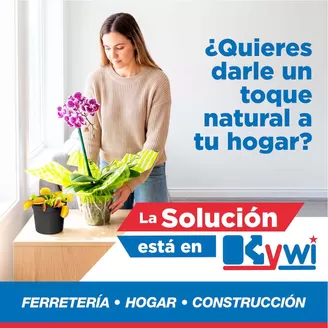 Catálogo Mega Kywi en Guayaquil | Nuestras mejores gangas | 2026-10-24T00:00:00.000Z - 2026-11-07T00:00:00.000Z