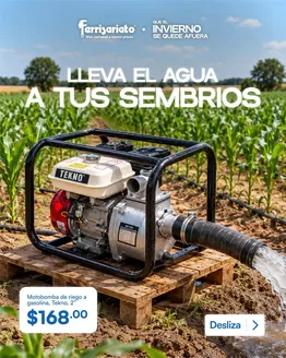 Catálogo Ferrisariato | Gangas y ofertas actuales | 2026-10-25T00:00:00.000Z - 2026-11-08T00:00:00.000Z