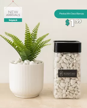 Catálogo Boyacá en Loja | Piedras mini deco blancas  | 2025-07-29T00:00:00.000Z - 2025-07-31T00:00:00.000Z