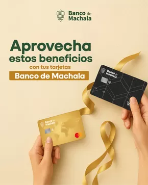 Catálogo Banco de Machala en San Fernando | Aprovecha estos beneficios | 2025-08-12T00:00:00.000Z - 2025-08-23T00:00:00.000Z