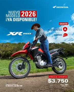 Nuevo modelo 