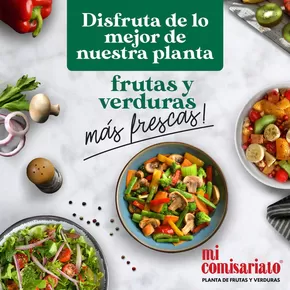 Catálogo Mi Comisariato en Quito | Descubre ofertas atractivas | 2025-09-11T00:00:00.000Z - 2025-09-25T00:00:00.000Z
