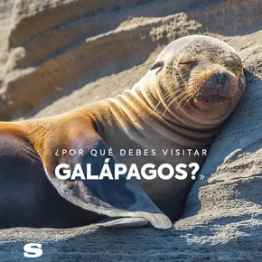 Catálogo Megamaxi en Quito | Nuestras mejores gangas | 2025-10-05T00:00:00.000Z - 2025-10-19T00:00:00.000Z