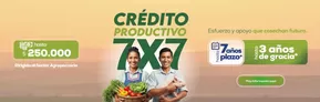 Catálogo Banecuador en Oña | Credito Productivo  | 2025-10-17T00:00:00.000Z - 2025-10-31T00:00:00.000Z