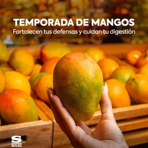 Catálogo Supermaxi en Ambato | Ahorra ahora con nuestras ofertas | 2025-10-24T00:00:00.000Z - 2025-11-07T00:00:00.000Z
