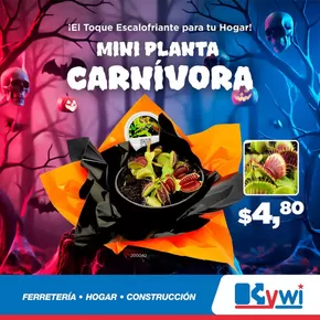 Catálogo Kywi en Guayaquil | Catálogo Kywi | 2025-10-30T00:00:00.000Z - 2025-11-13T00:00:00.000Z