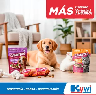 Catálogo Kywi en Cuenca | Nuestras mejores gangas | 2025-11-05T00:00:00.000Z - 2025-11-19T00:00:00.000Z