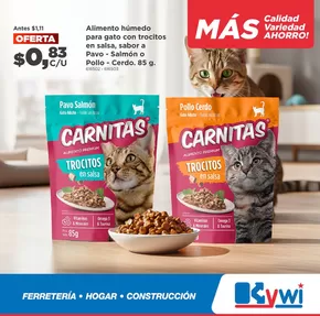 Ofertas principales y descuentos